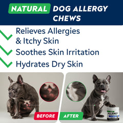 STRELLALAB StrellaLab dog allergy chews taste close-up, tasty bites dogs enjoy while supporting skin comfort.