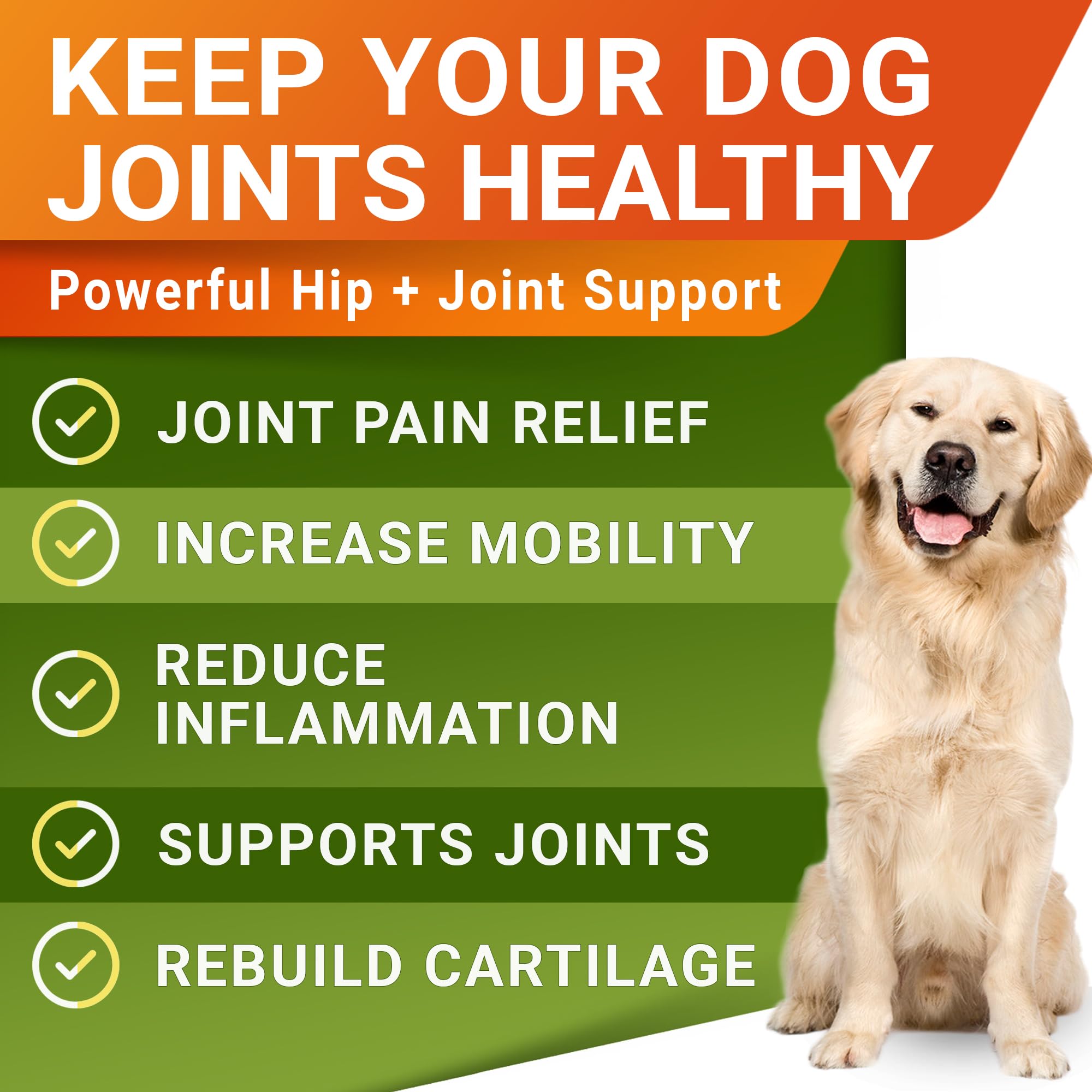 STRELLALAB dog hip joint chews bowl demonstrates easy, flavorful way to support activity