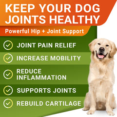 STRELLALAB dog hip joint chews bowl demonstrates easy, flavorful way to support activity
