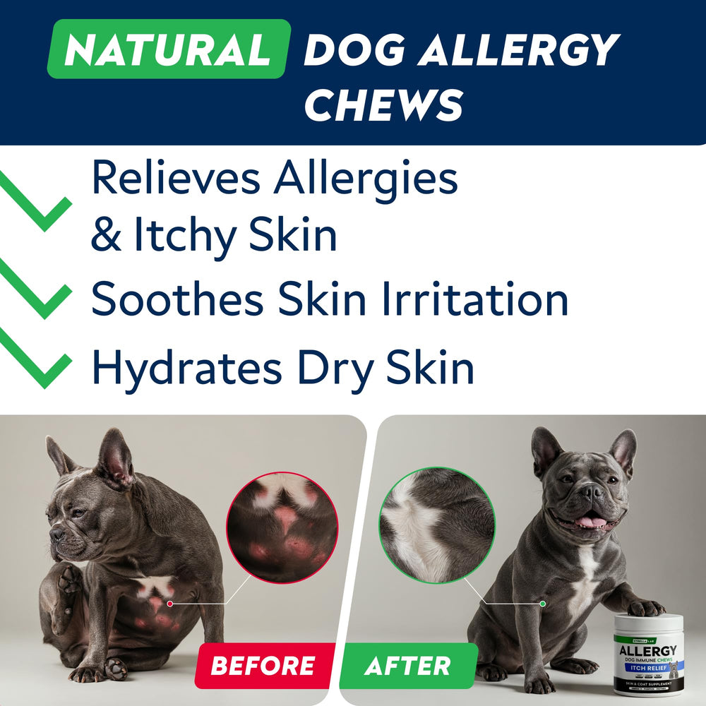 STRELLALAB bottle of chews; easy daily supplement for dogs.