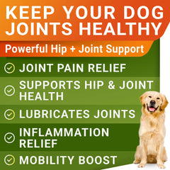 STRELLALAB dog joint chews closeup shows a chewy texture dogs love for mobility support.
