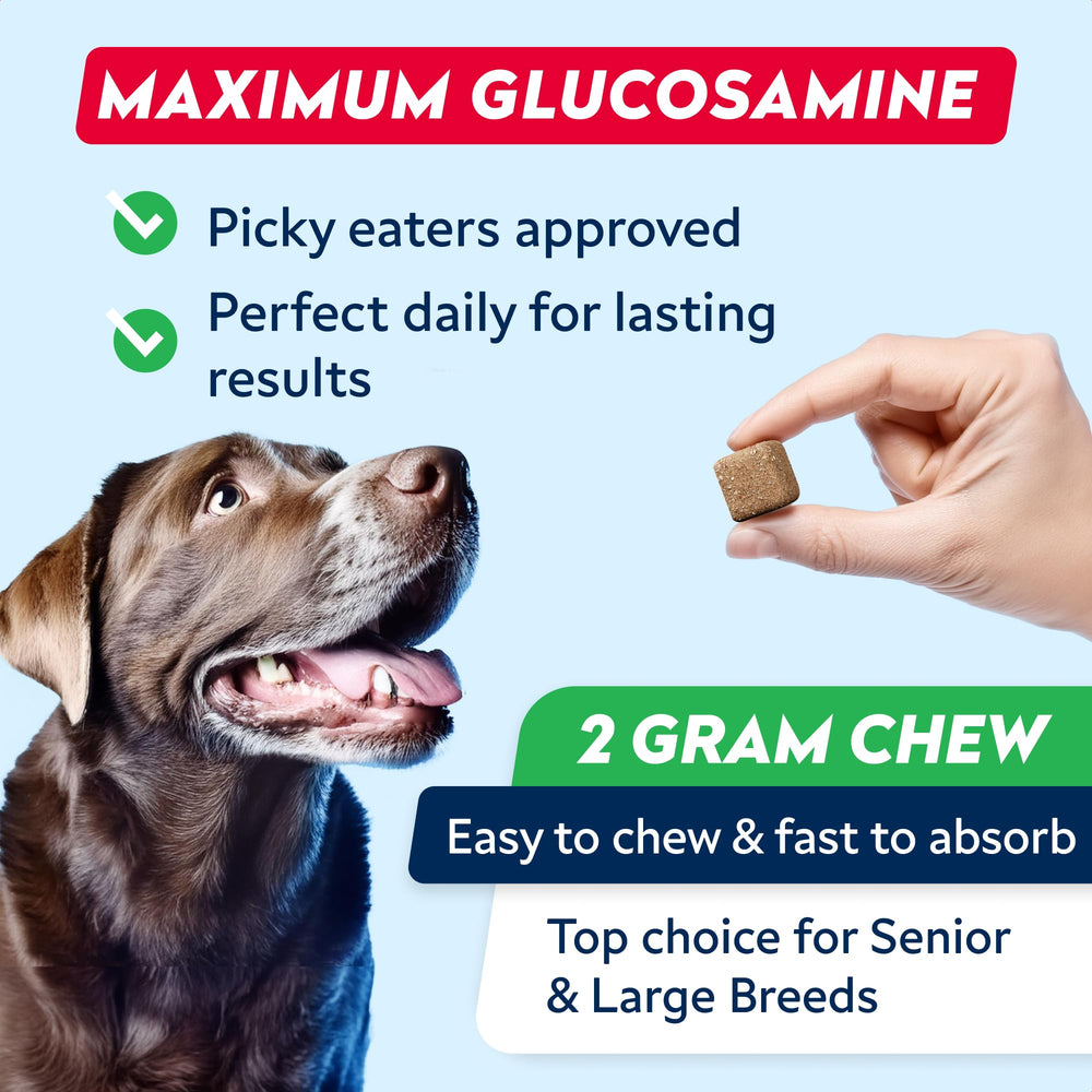 STRELLALAB dog joint-relief chews shown for improved movement.