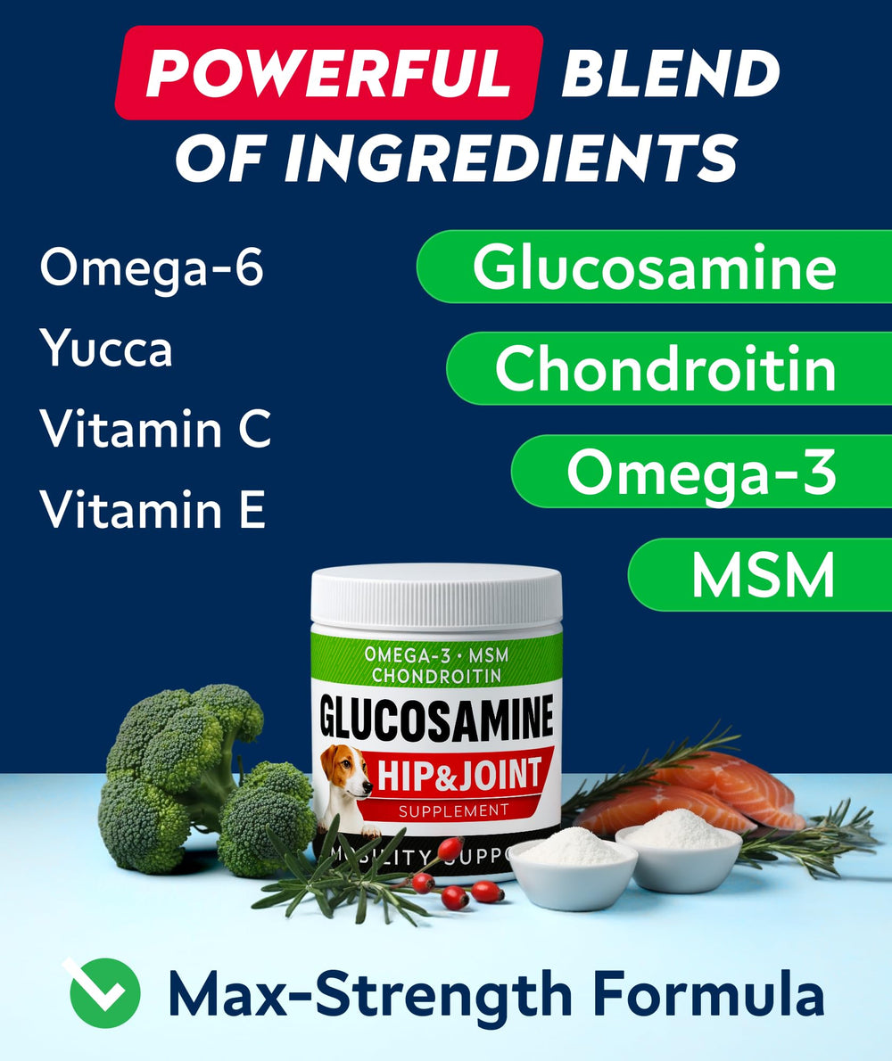 STRELLALAB dog-paw-friendly-supplement image suggests continued activity.