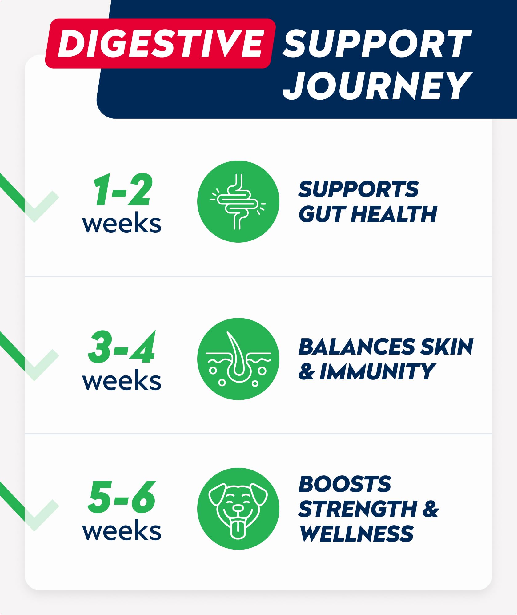 STRELLALAB Dog Probiotics Chews dog-eating scene suggests gentle tummy support.