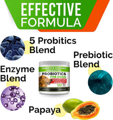 Dog chewing a StrellaLab probiotic chew demonstrates daily digestion support