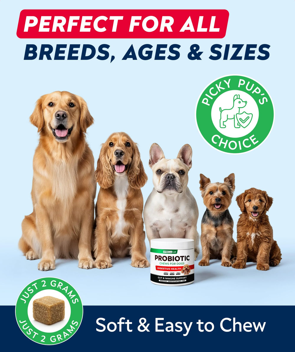 StrellaLab Dog Probiotics Treats ingredients highlight no soy, corn, or dairy for sensitive pups.