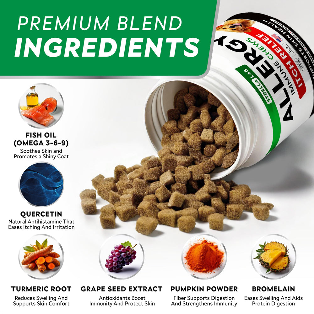 STRELLALAB dog pumpkin enzyme blend image emphasizes digestion-friendly ingredients for comfort.
