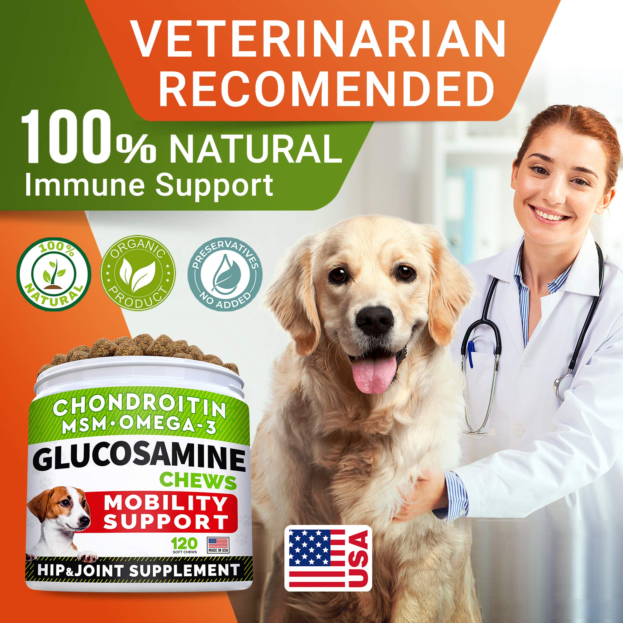 STRELLALAB dog running joyfully illustrates potential mobility benefits from joint support.