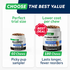 STRELLALAB dog skin-coat support chews; promotes healthy coat.