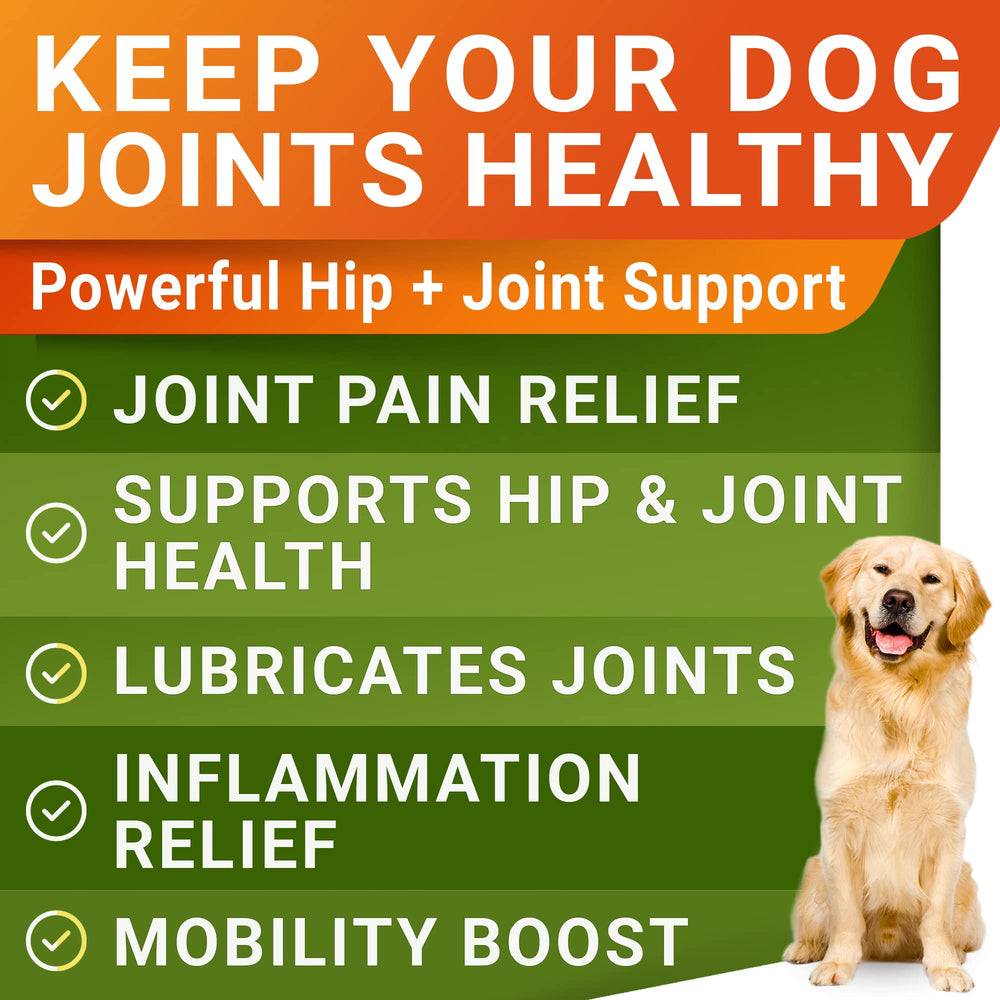 STRELLALAB Glucosamine dog chews pack image illustrates ongoing joint care for households with multiple dogs.