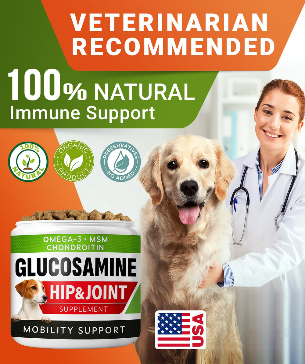 STRELLALAB Glucosamine Treats for Dogs chew texture close-up demonstrates easy-to-chew joints support.