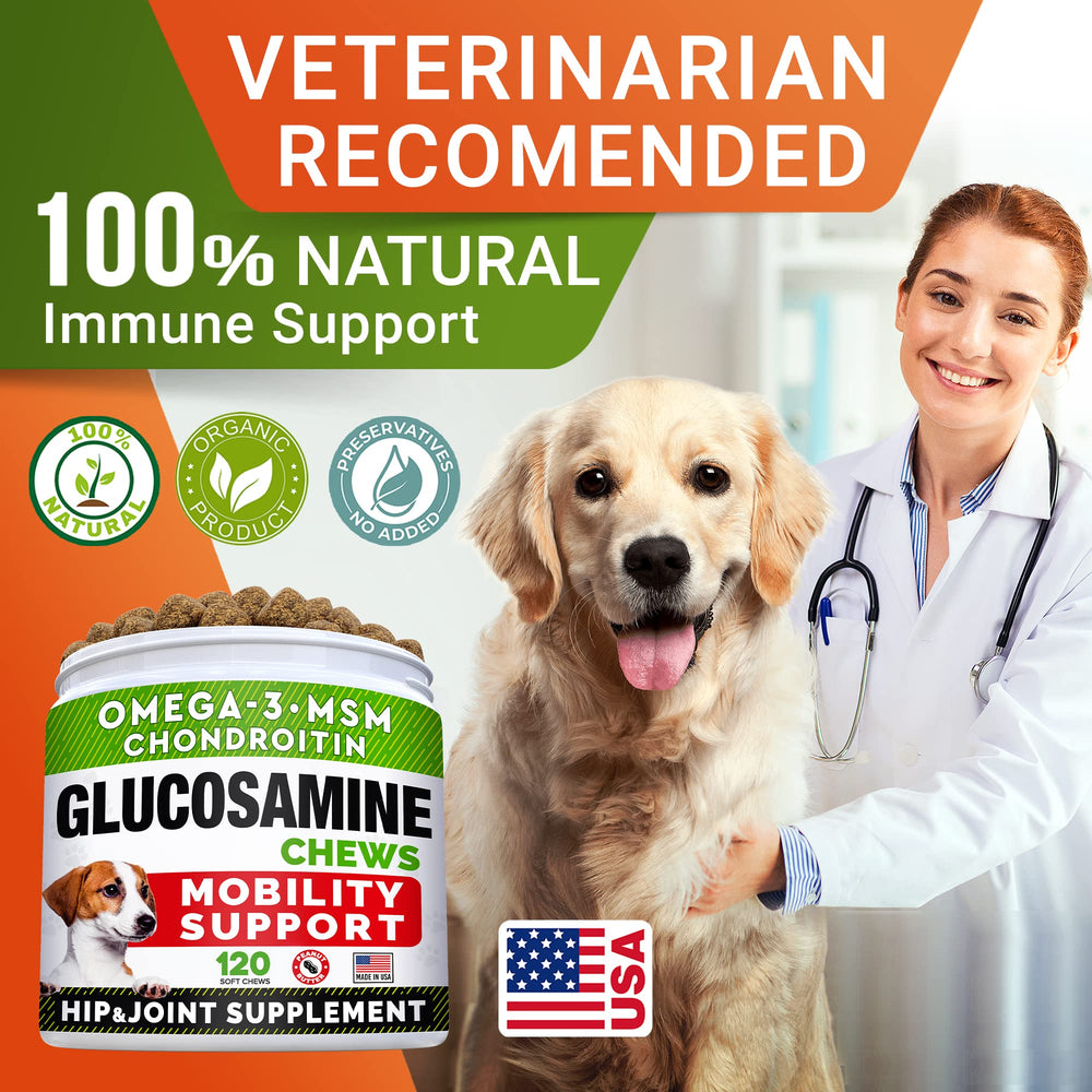 A happy dog enjoys STRELLALAB peanut butter chews as part of daily care.