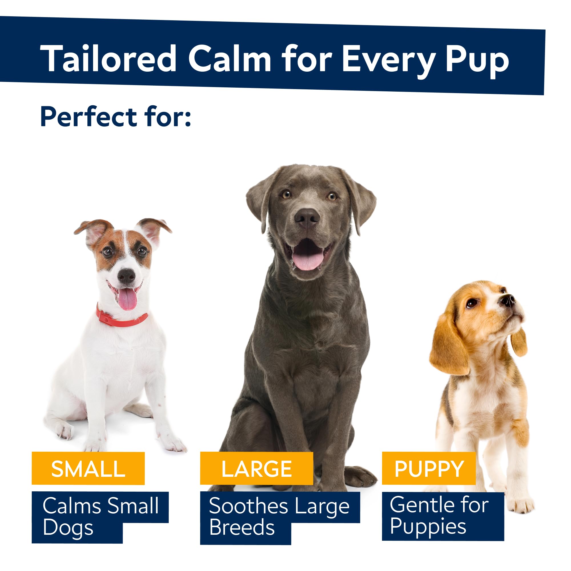 STRELLALAB hemp calming chews on a dog for restful sleep support