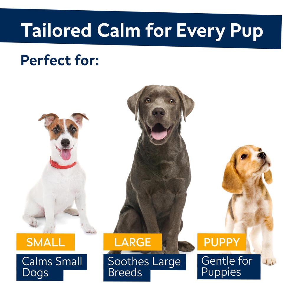 STRELLALAB hemp calming chews on a dog for restful sleep support