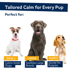 STRELLALAB hemp calming chews on a dog for restful sleep support