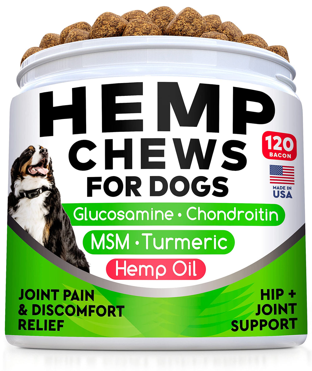 STRELLALAB hemp chews feeding scene demonstrates easy daily treat.