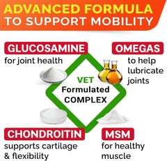 STRELLALAB hip joint support chews bottle highlights glucosamine and chondroitin for seniors.