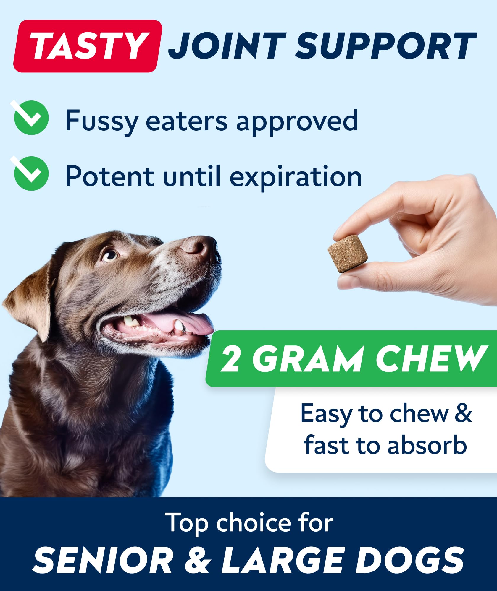 STRELLALAB large-breed joint-support dog treats aid comfort during activities.