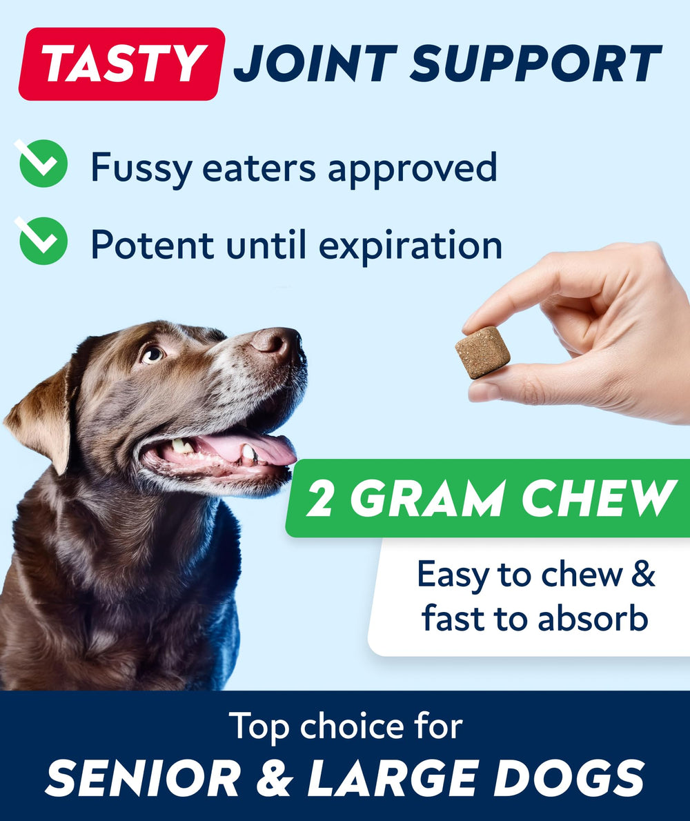 STRELLALAB large-breed joint-support dog treats aid comfort during activities.