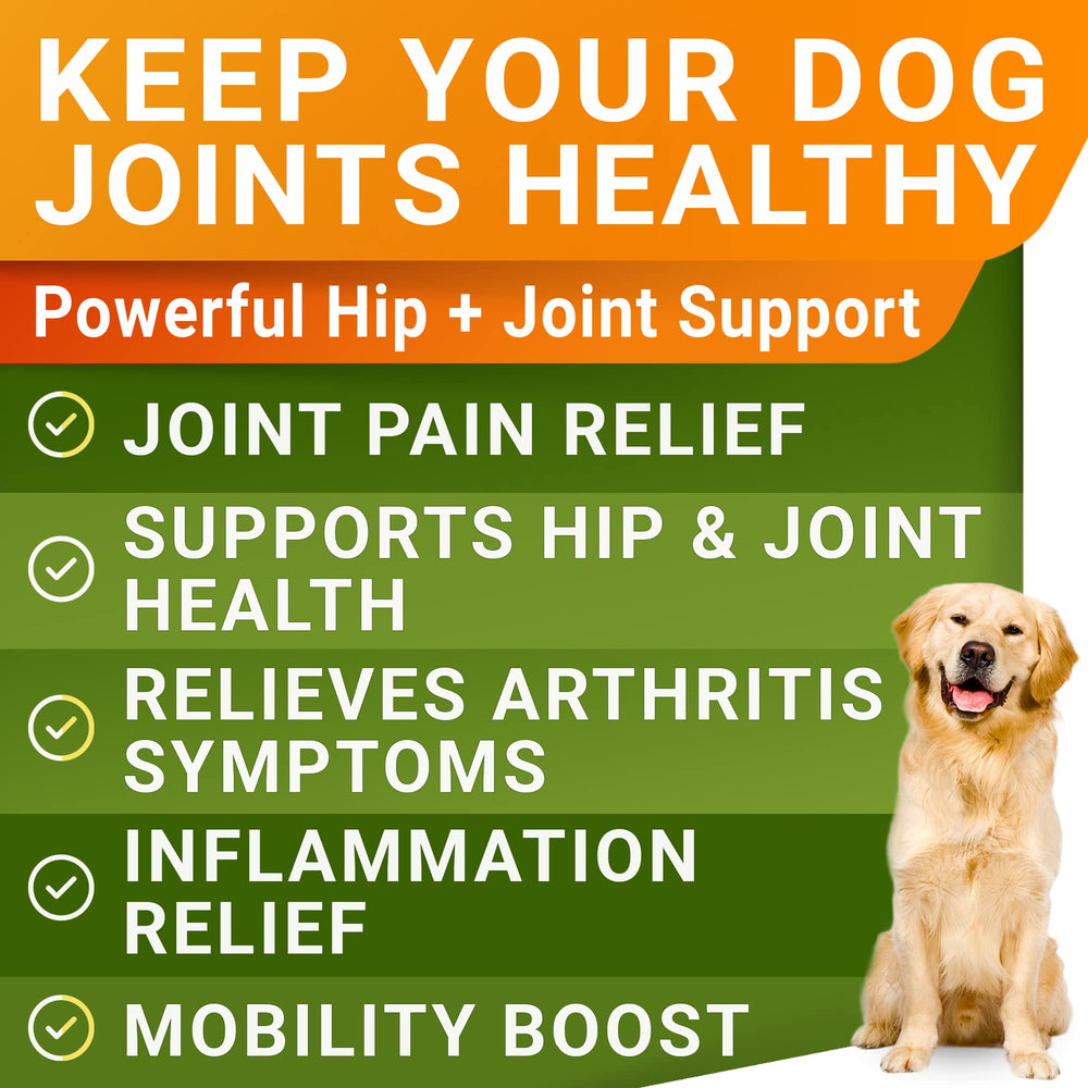 STRELLALAB Liquid Glucosamine pour bottle shows easy serving for dogs.