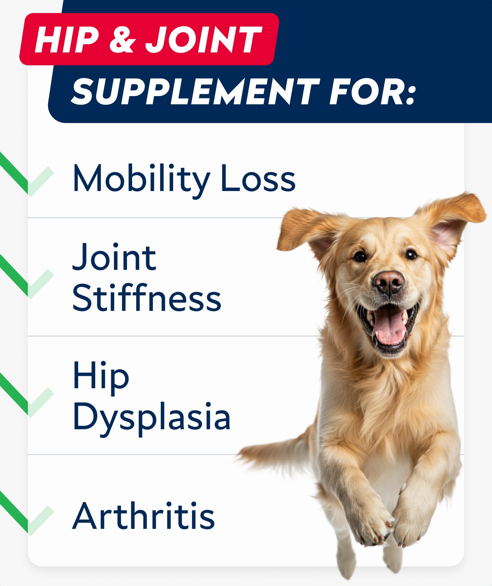 STRELLALAB made-in-usa dog joint treat packaging showcases quality support for aging companions.