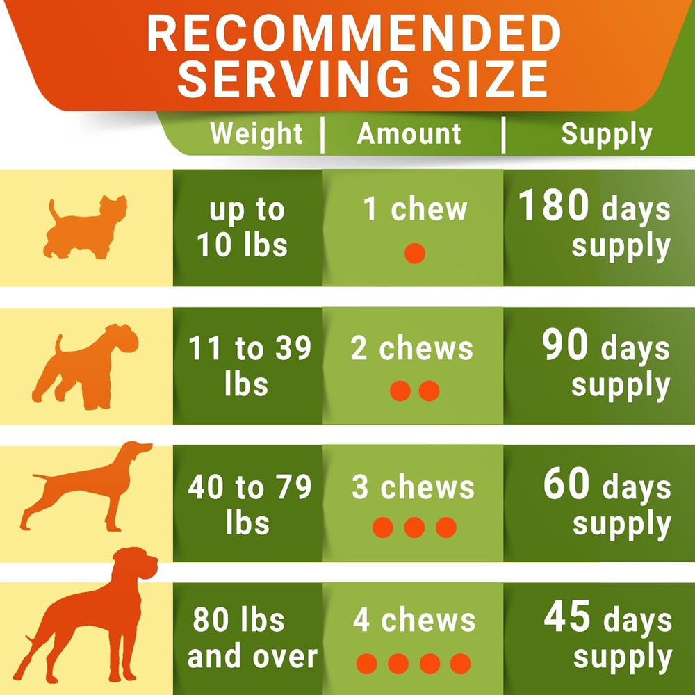 STRELLALAB older-dog joint relief chews pack provides ongoing support and comfort.