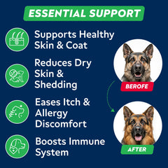STRELLALAB Omega 3 dog chews bottle close-up highlights premium salmon oil benefits.