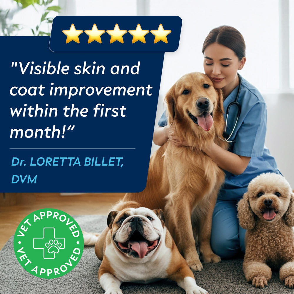 STRELLALAB Omega 3 dog chews coat benefits visual hints at shinier fur.