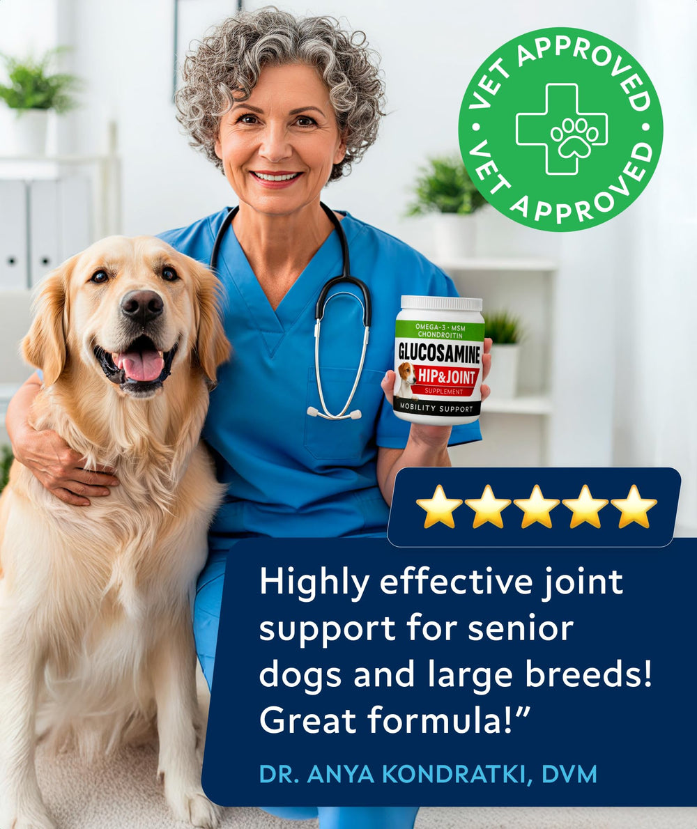 STRELLALAB omega-3-fish-oil-chews highlight nourishing joints for everyday movement.