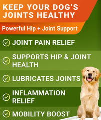 STRELLALAB omega-3 dog image highlights joint support and coat nourishment.