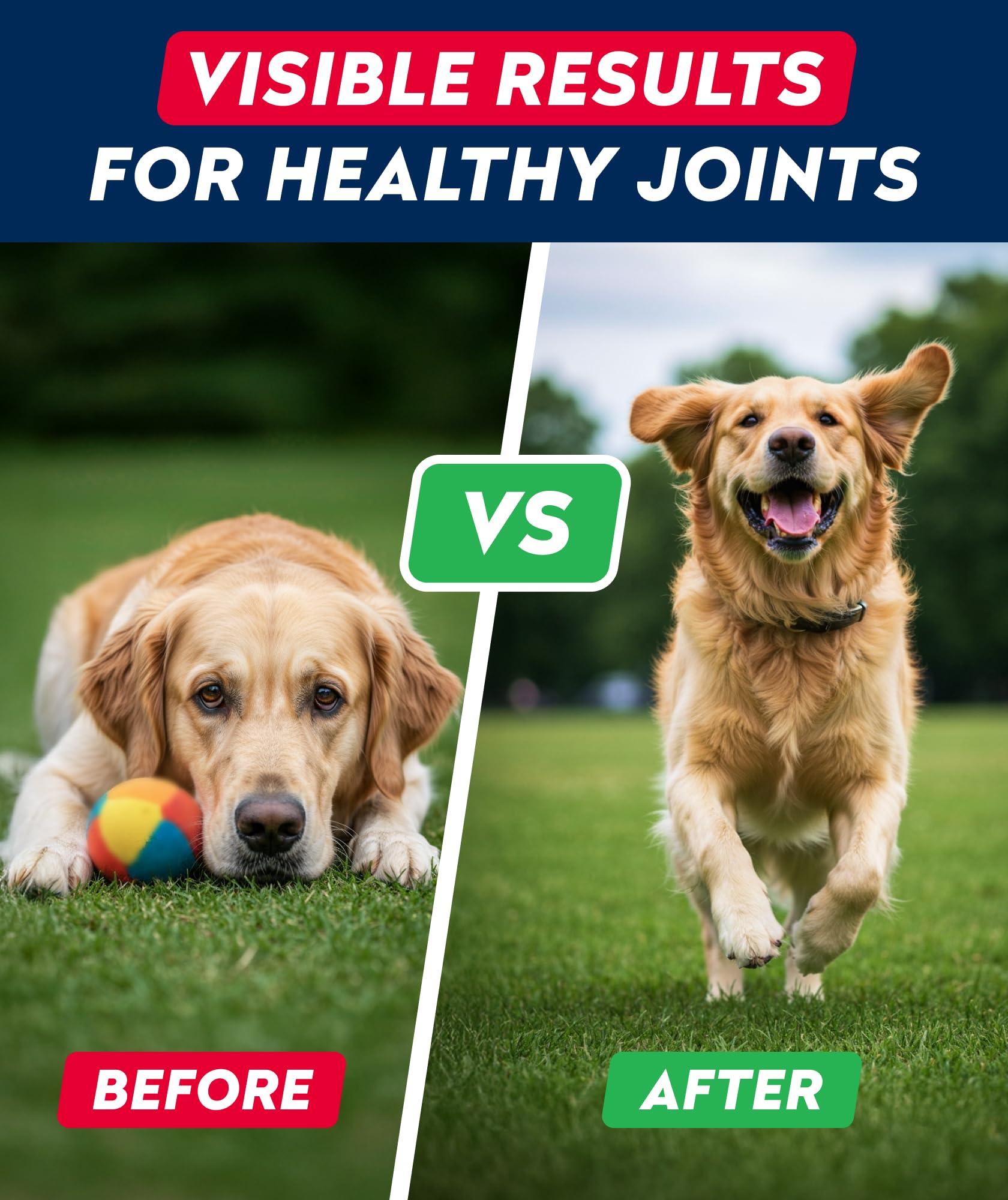 STRELLALAB-peanut-butter-flavored-dog-treat shows appealing taste for stress-free daily care.
