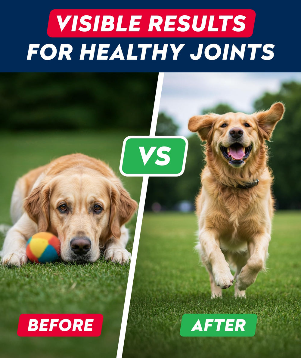 STRELLALAB-peanut-butter-flavored-dog-treat shows appealing taste for stress-free daily care.