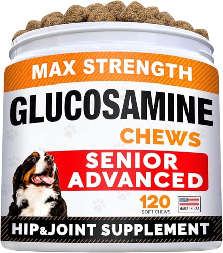 STRELLALAB senior glucosamine-chondroitin dog chews bottle-pour: supports mobility
