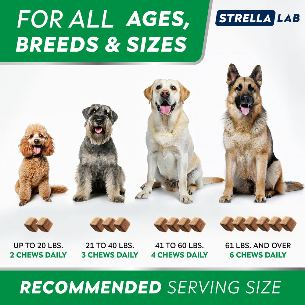 STRELLALAB subscribe and save banner represents a convenient, ongoing allergy-support plan.