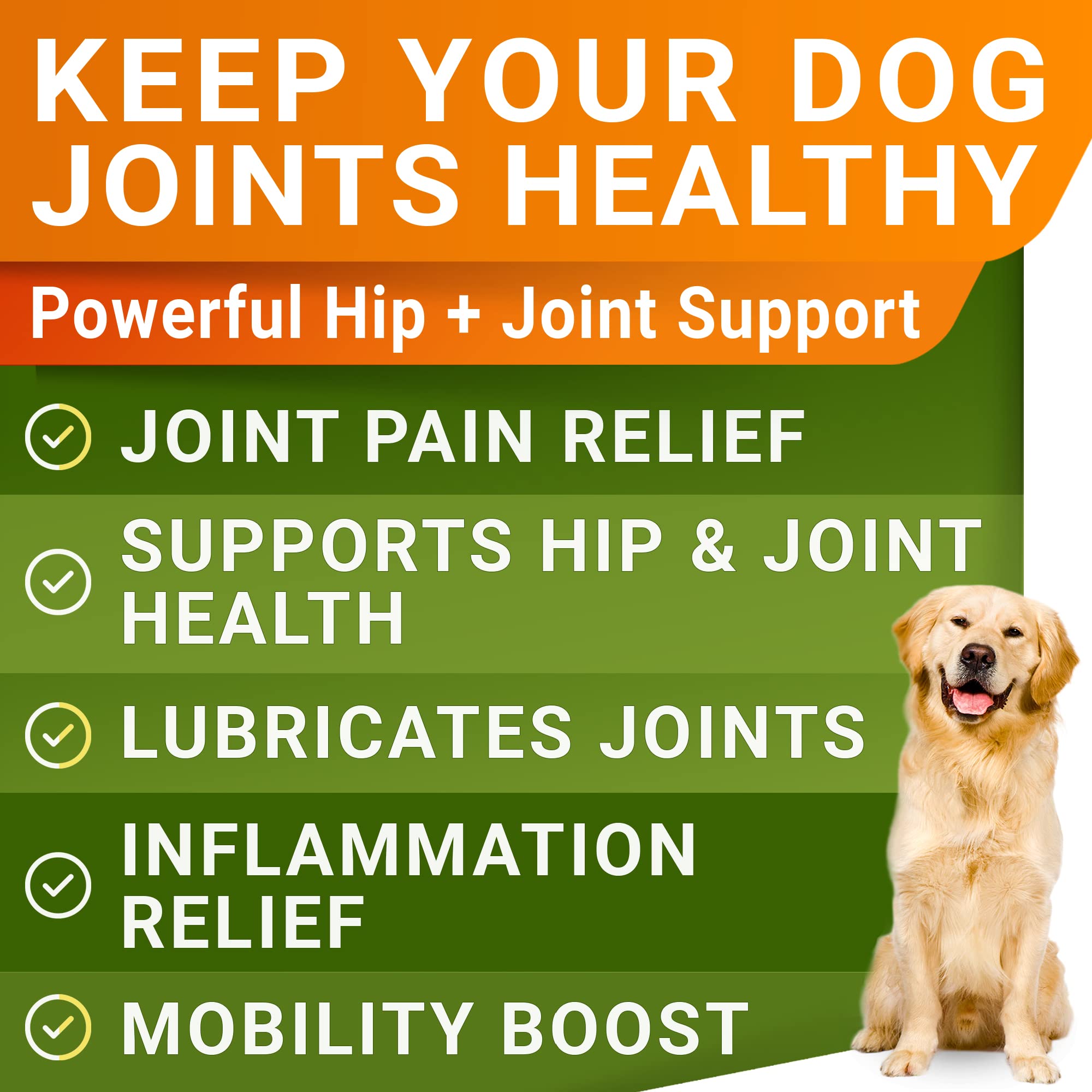 STRELLALAB USA-made dog joint supplement supports high-quality care.