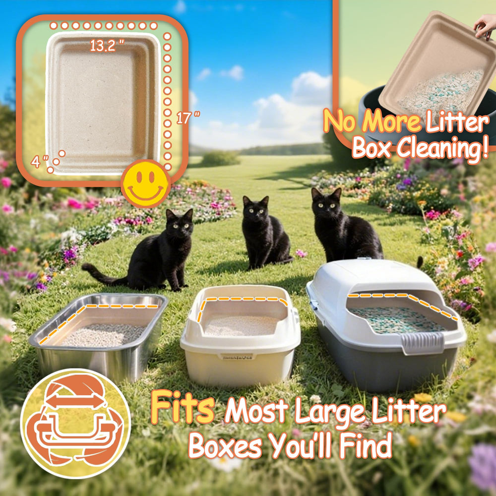 Strenthychosing disposable litter box easy-cleanup concept, ideal for seniors and busy households.