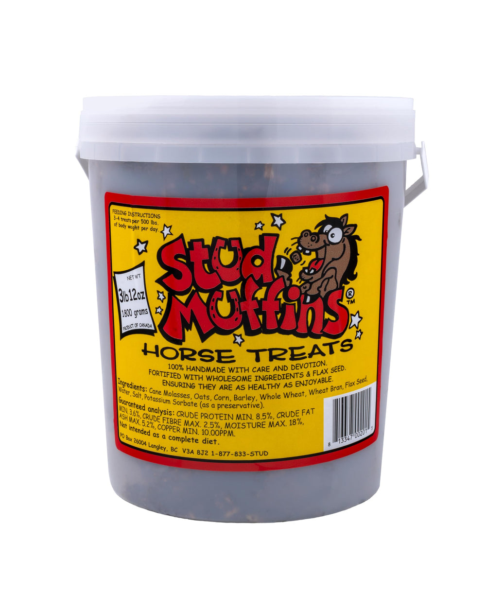 Stud Muffins 60oz bucket ready for easy horse feeding