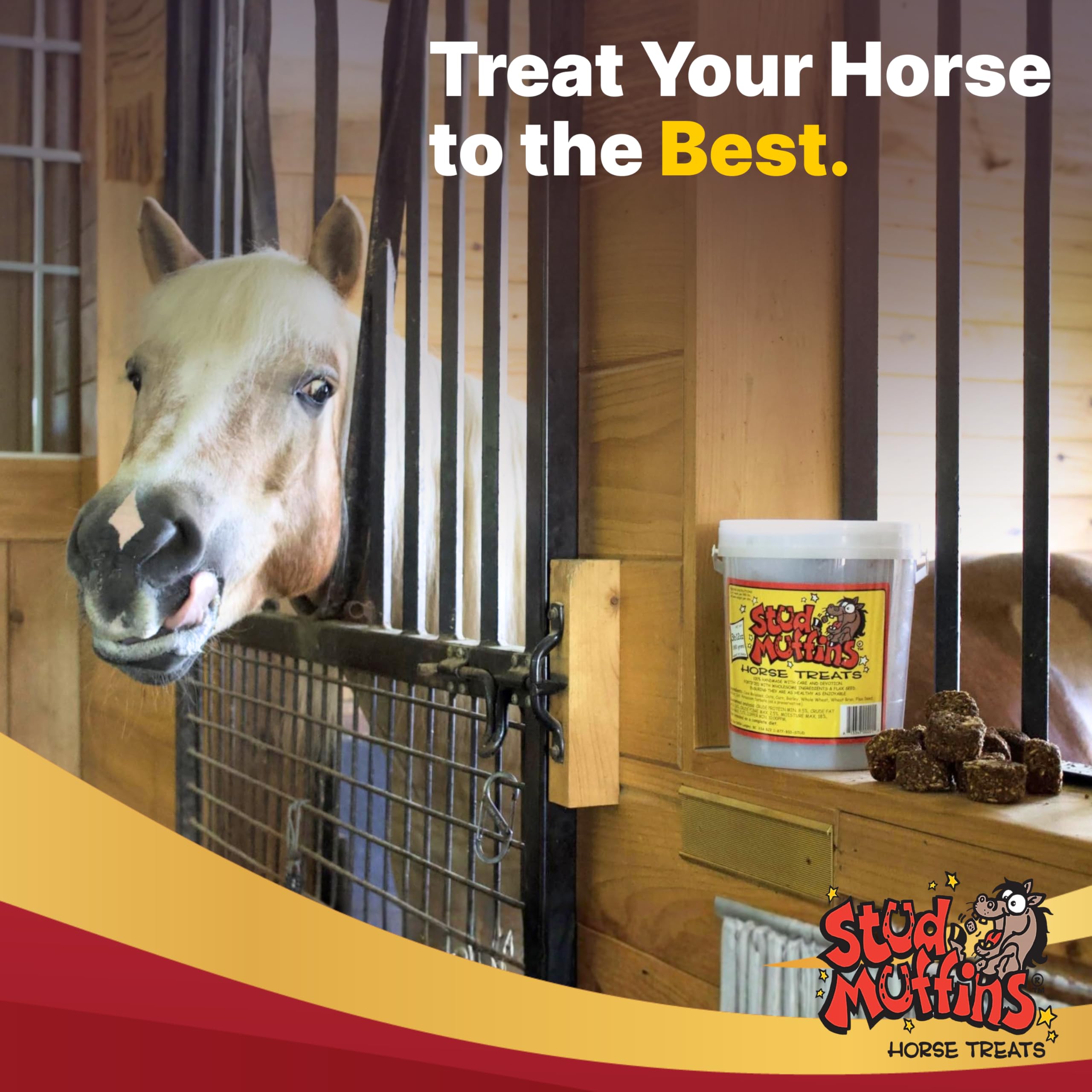 Stud Muffins horse enjoying treats during training or turnout