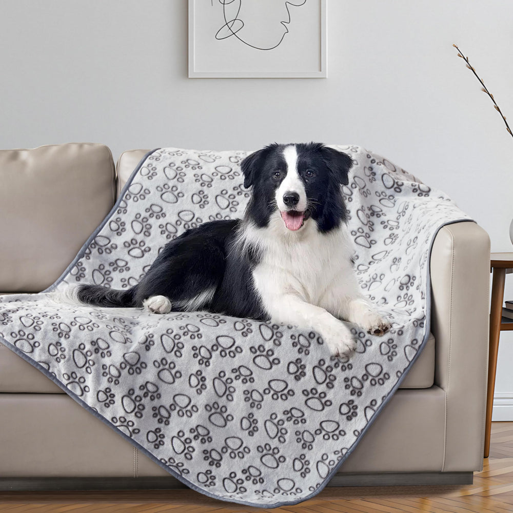 Stuffed Premium Soft Dog Blanket puppy-cat-use-case demonstrates versatile warmth at home or travel.