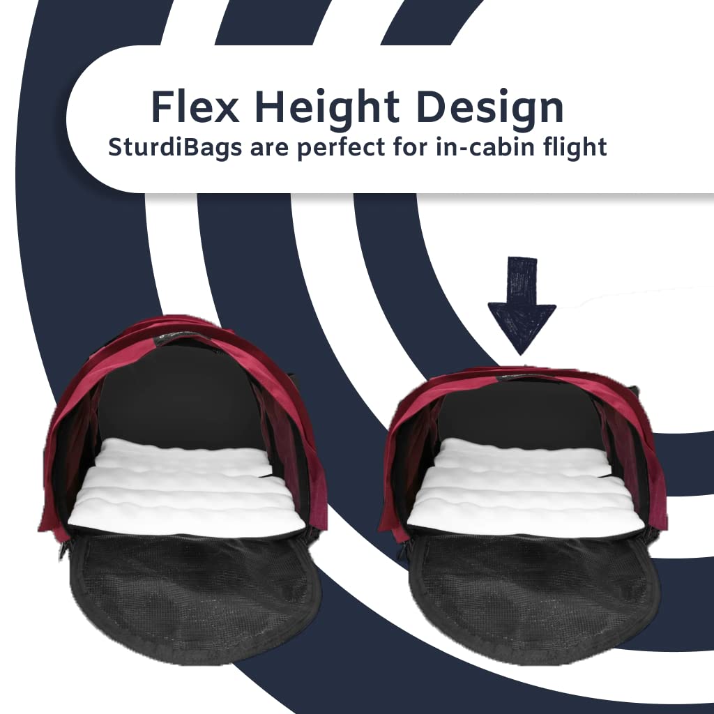 STURDI BAG purple color adds travel style and practicality