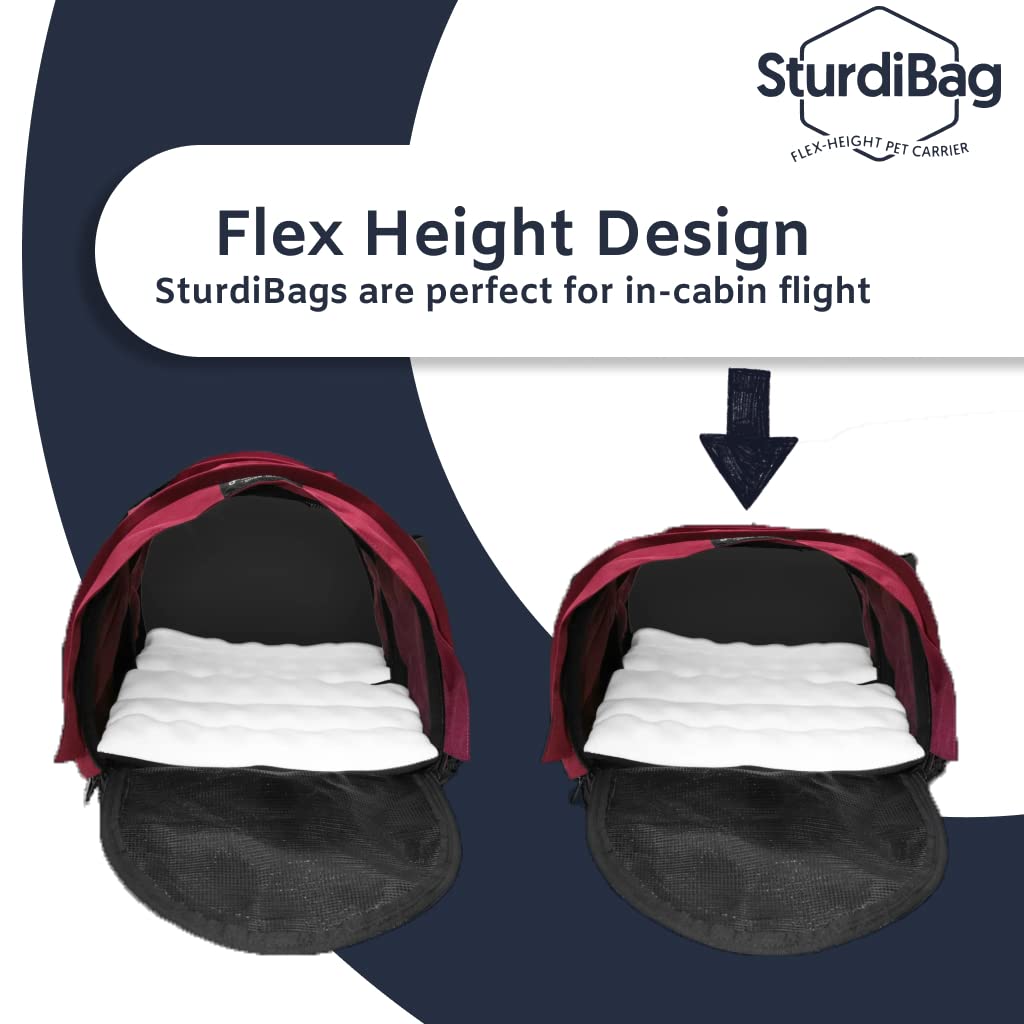 SturdiBag XL pet-comfort-entry allows gentle loading and access.