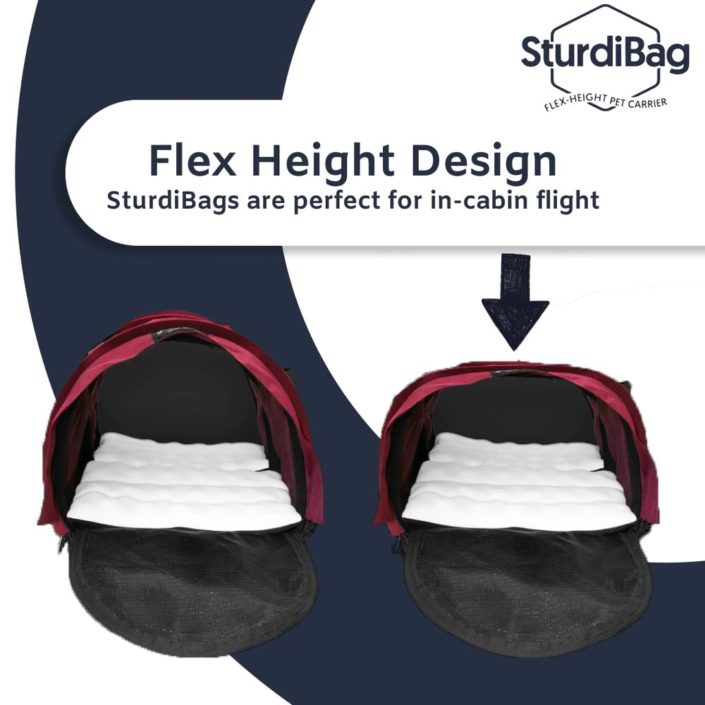 SturdiBag XL pet-comfort-entry allows gentle loading and access.
