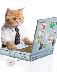 Suck UK Cat Laptop with fluffy mouse engages kittens during playtime
