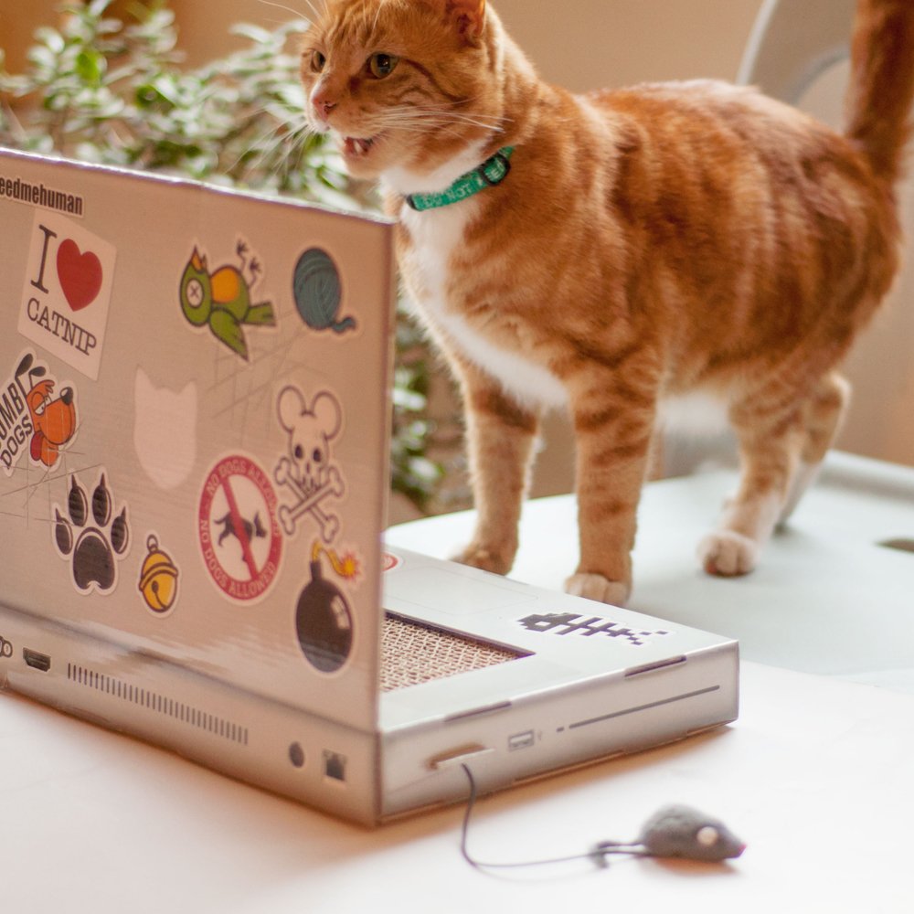 Suck UK Cat Laptop side view highlights compact design for small spaces