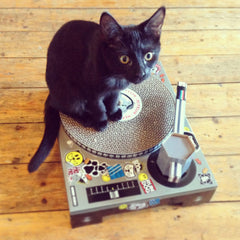 Suck UK cat-scratching-mat-indoor-cats channels energy into scratching