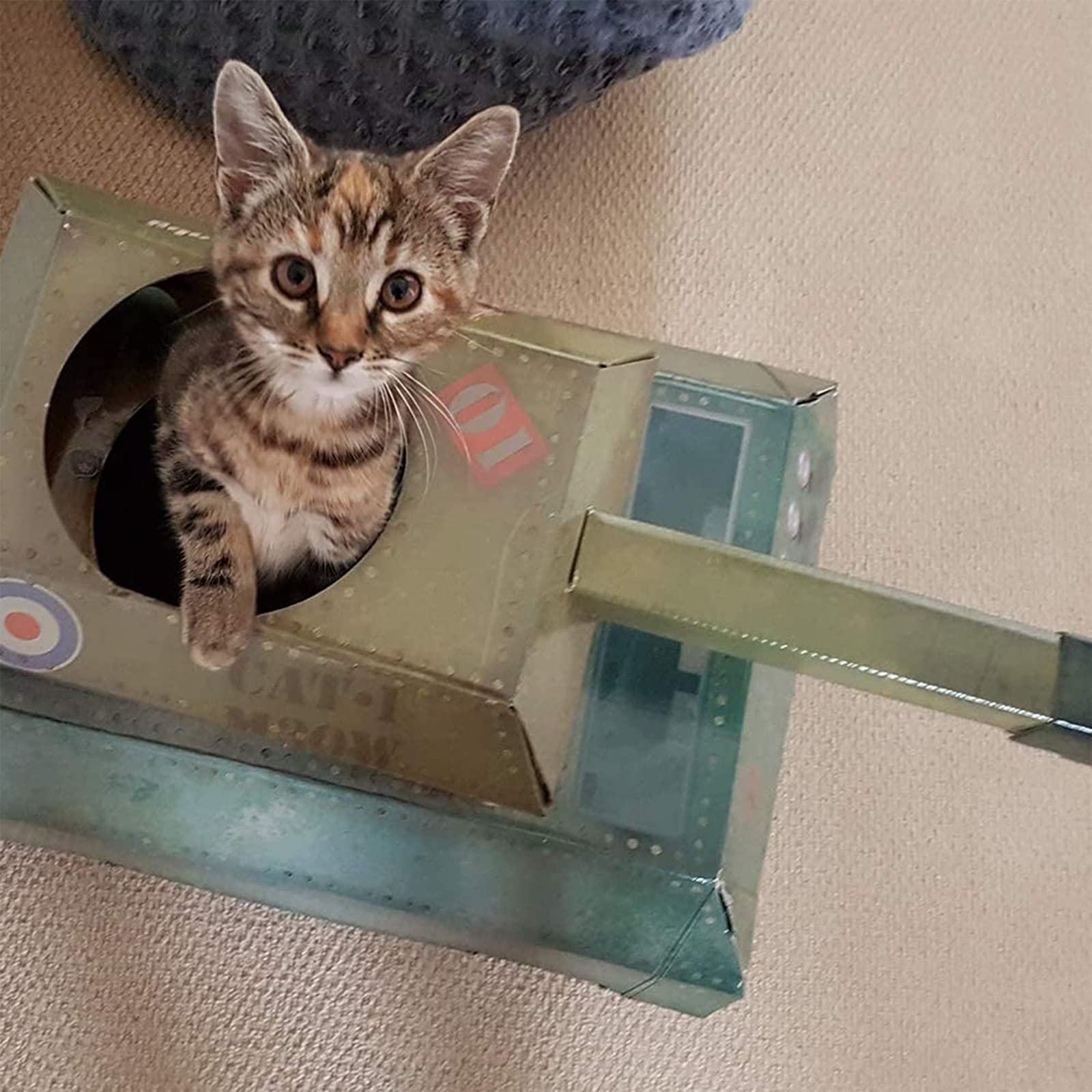 Suck UK Tank Cat House cat inside tank for cozy hiding and ambush play.
