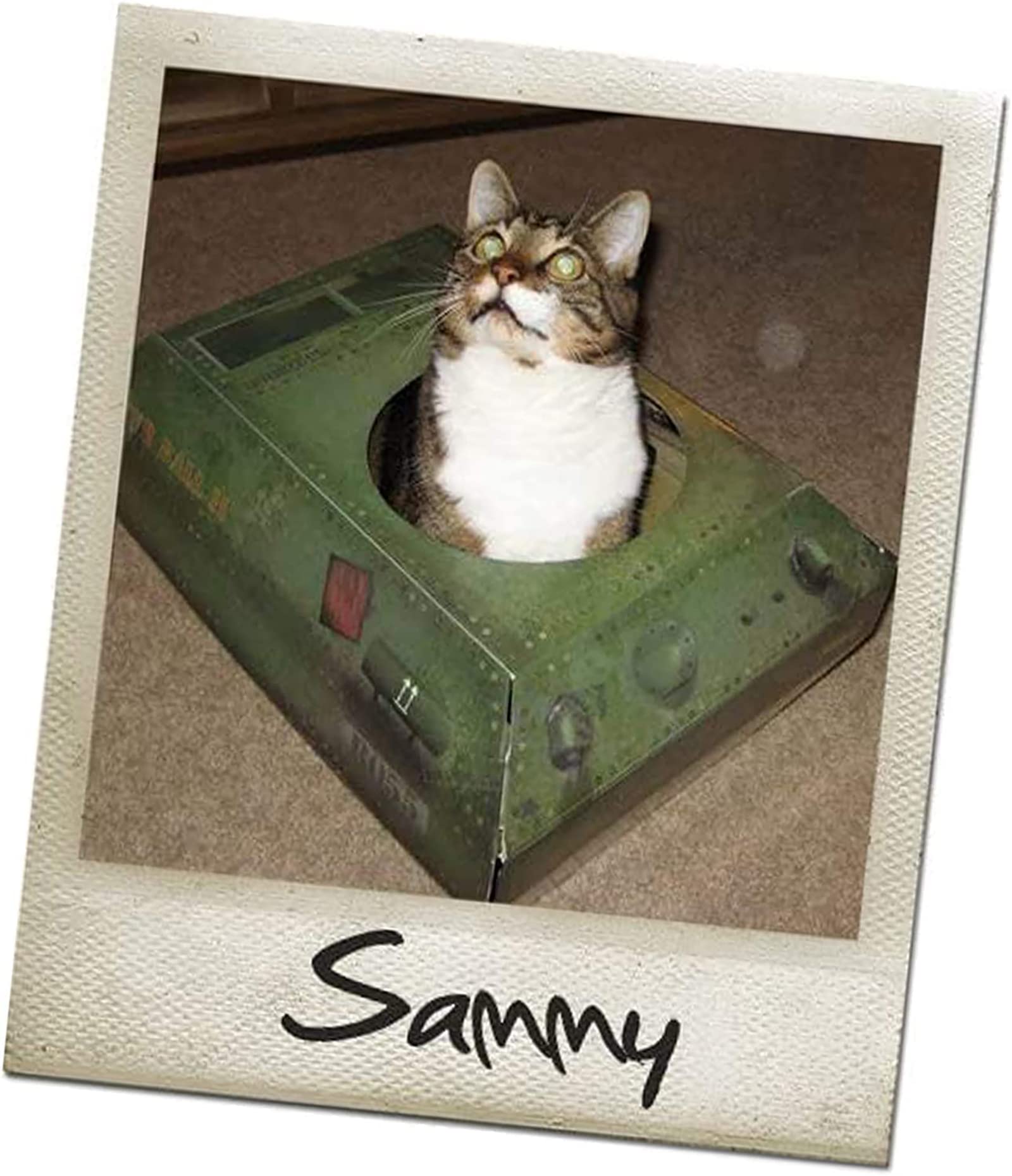 Suck UK Tank Cat House flat-pack packaging shows space-saving storage.