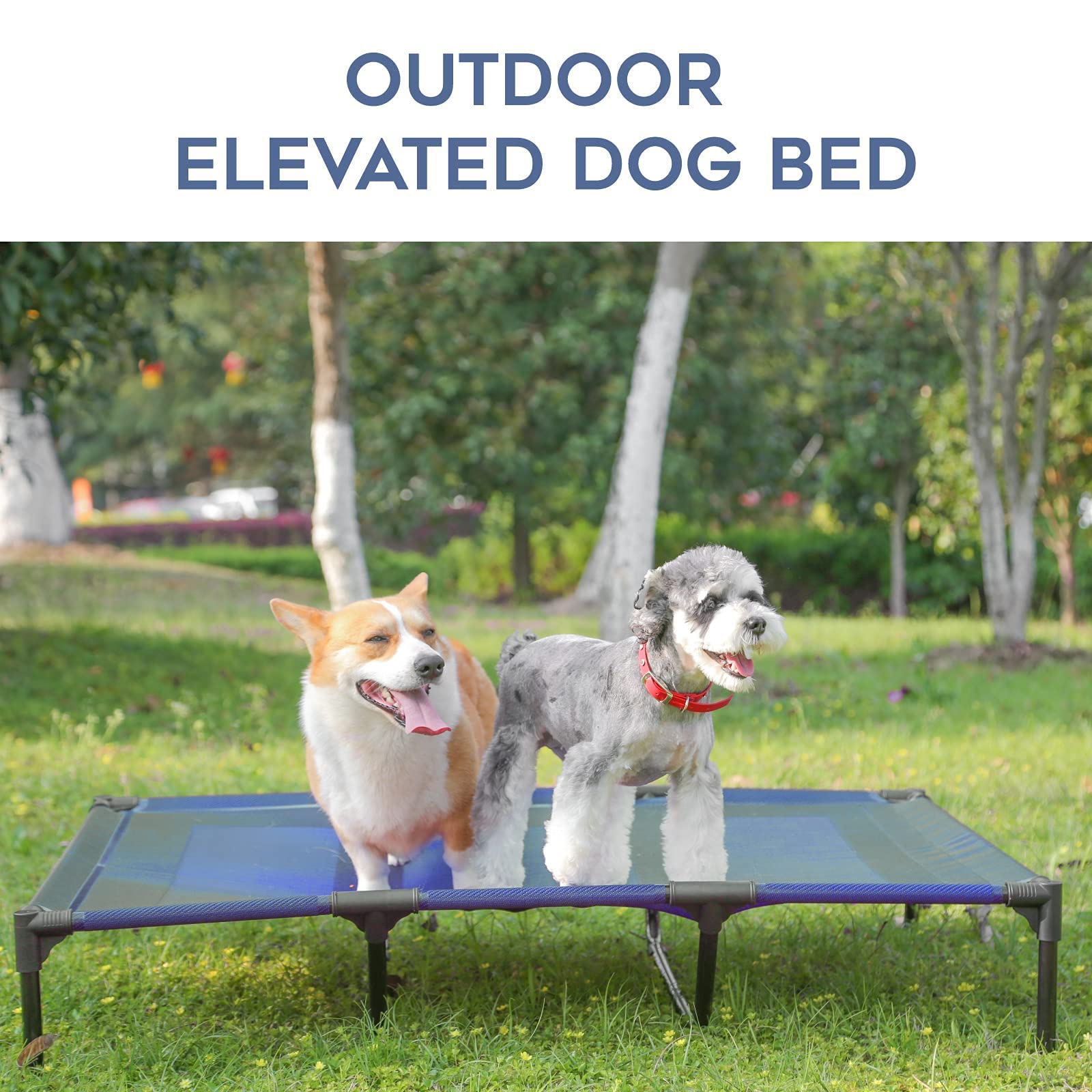 suddus dog bed 12-month warranty underscores reliable after-sale support