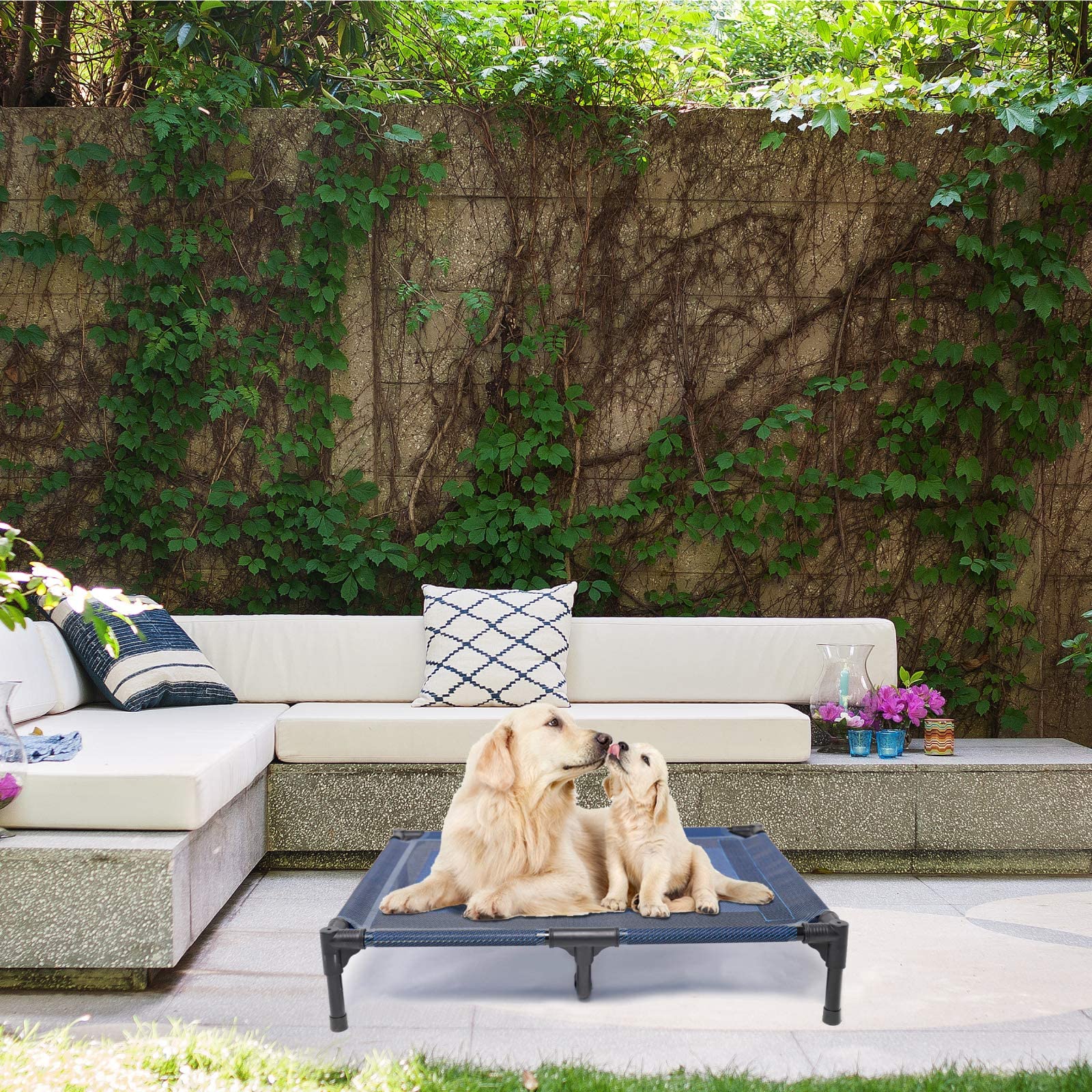 Suddus elevated dog bed 24 hour service indicates reliable support