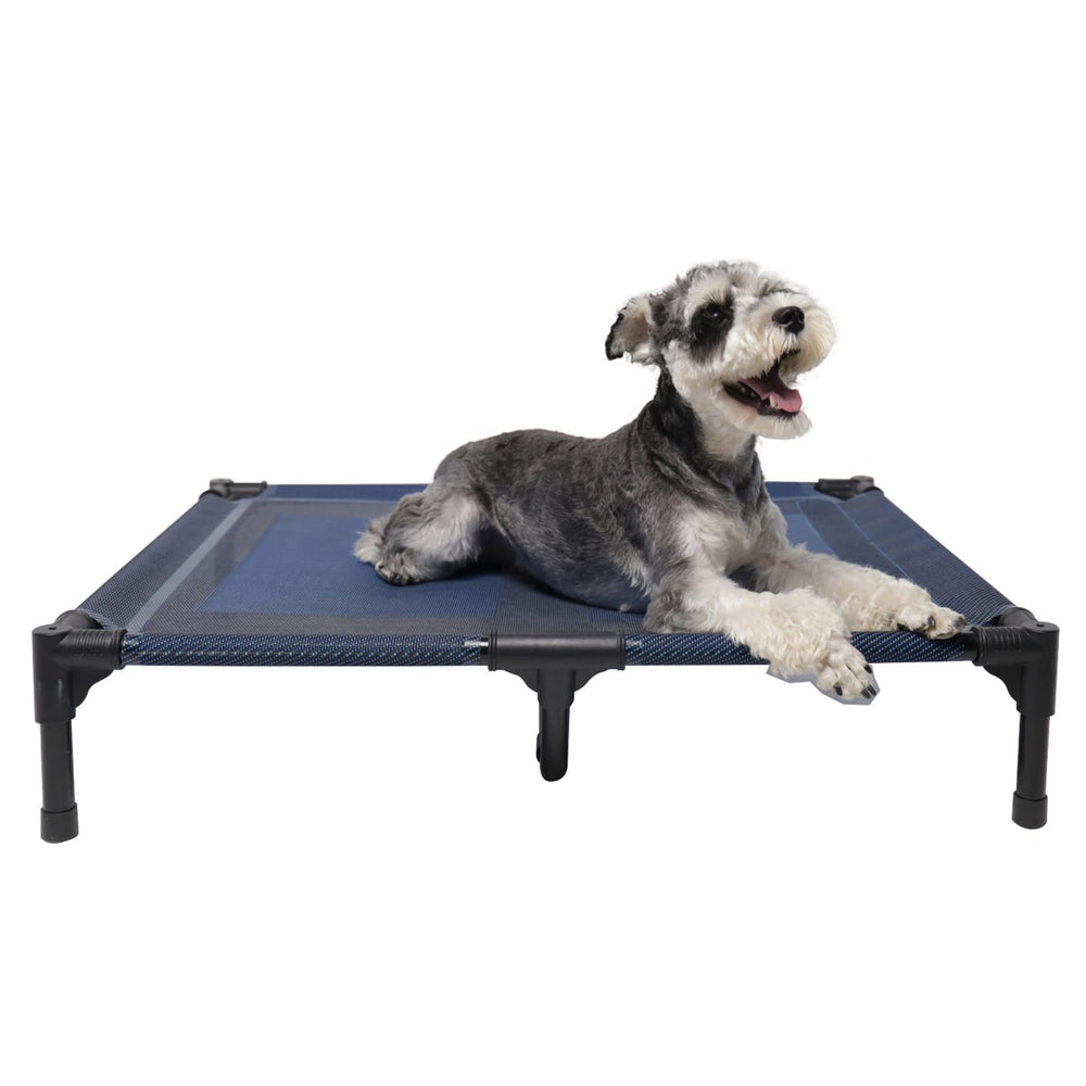 Suddus elevated blue dog bed outdoors shows off-floor comfort for cool rests
